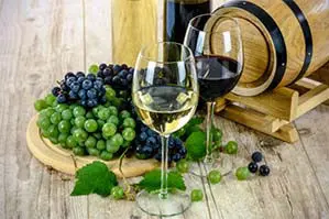 Niagara Wine Tours Niagara Wine Tours